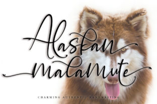 Alaskan Malamute Font for Brand Identity