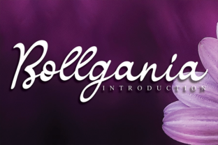 Bollgania Font: A Handwritten Typeface for Bold Branding