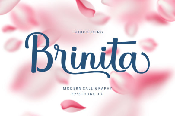 Brinita: The Handwritten Font for Scroll-Stopping Design