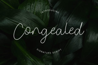 Congealed: A Handwritten Font for Editorial Design
