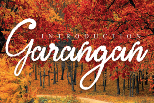 Garangan Font: A Playful Typeface for Modern Web Design