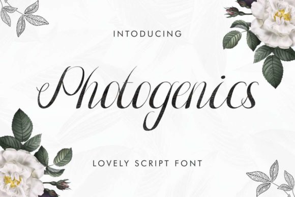 Photogenics: A Designer’s Honest Review