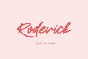Roderick Typeface: A Web Designer’s Review
